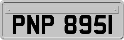 PNP8951
