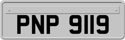 PNP9119