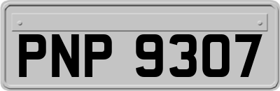 PNP9307