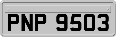 PNP9503