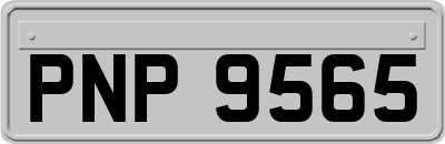 PNP9565