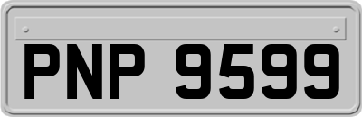 PNP9599