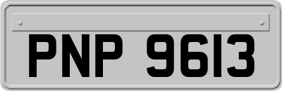 PNP9613