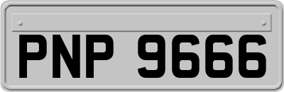 PNP9666