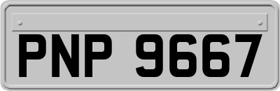 PNP9667
