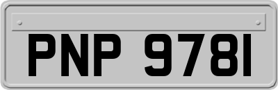 PNP9781