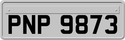 PNP9873