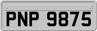 PNP9875