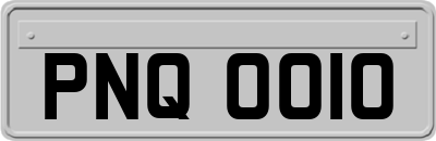 PNQ0010