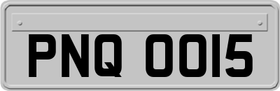 PNQ0015