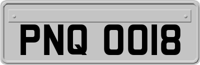 PNQ0018