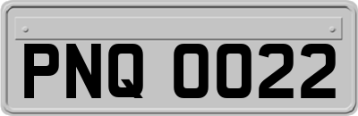 PNQ0022