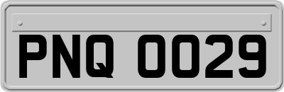 PNQ0029