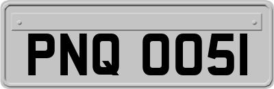 PNQ0051