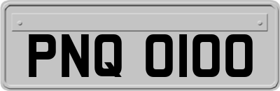 PNQ0100