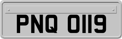 PNQ0119