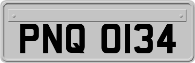 PNQ0134