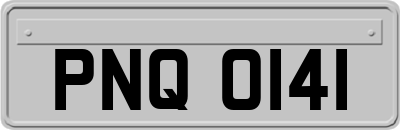 PNQ0141