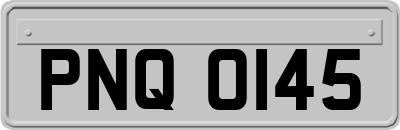 PNQ0145