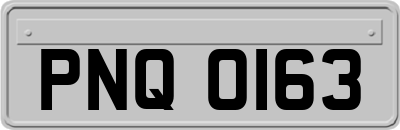 PNQ0163