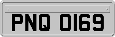 PNQ0169