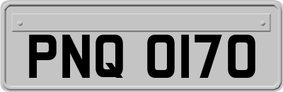PNQ0170