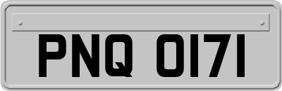 PNQ0171