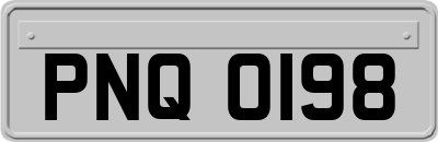 PNQ0198