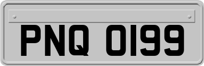 PNQ0199