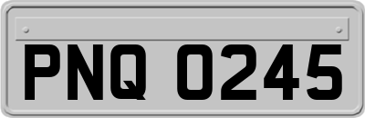 PNQ0245