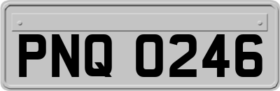 PNQ0246