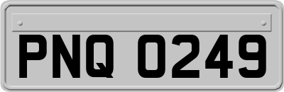PNQ0249