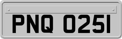 PNQ0251