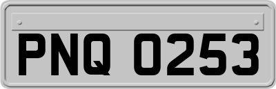 PNQ0253