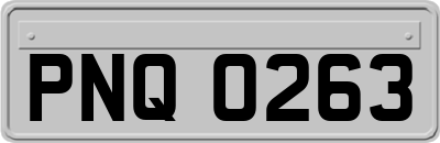 PNQ0263