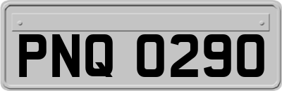 PNQ0290
