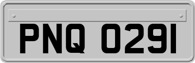 PNQ0291