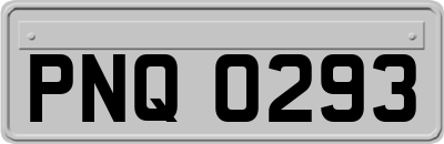 PNQ0293