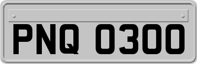 PNQ0300