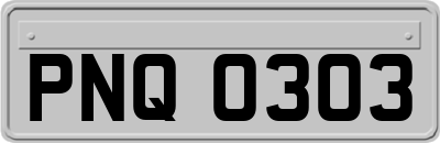 PNQ0303
