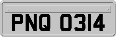 PNQ0314