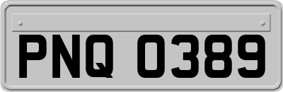 PNQ0389
