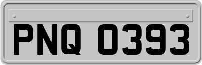 PNQ0393