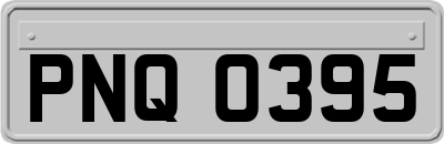 PNQ0395