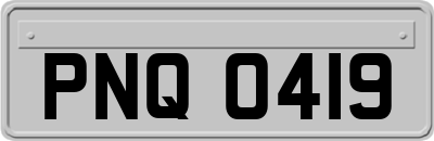 PNQ0419