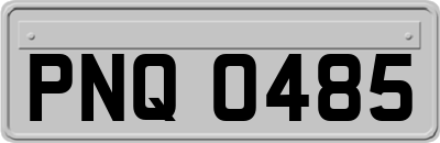 PNQ0485