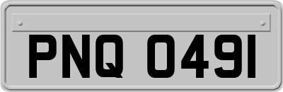 PNQ0491