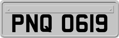 PNQ0619