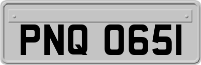 PNQ0651
