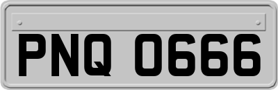 PNQ0666